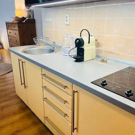 Apartment Stylish In The Old Town Bratislava